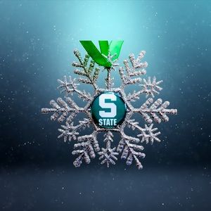 Michigan State SPARTANS Snowflake Christmas Ornament *NEW*